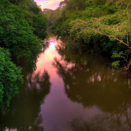 La Selva Biological Station Hotel Sarapiqui Ngoại thất bức ảnh