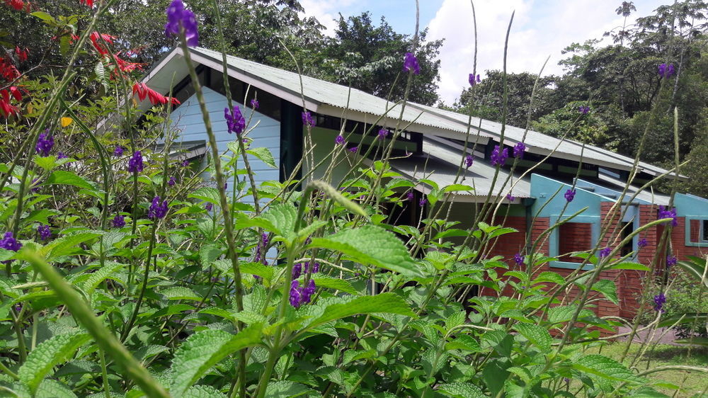 La Selva Biological Station Hotel Sarapiqui Ngoại thất bức ảnh