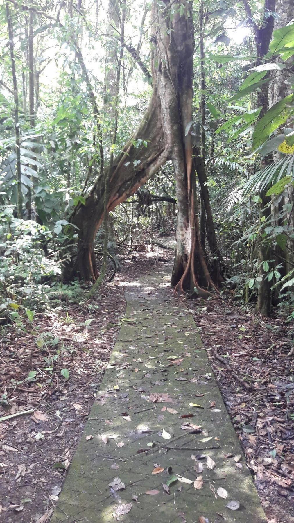 La Selva Biological Station Hotel Sarapiqui Ngoại thất bức ảnh