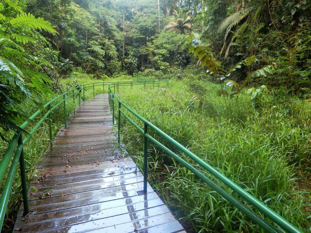 La Selva Biological Station Hotel Sarapiqui Ngoại thất bức ảnh