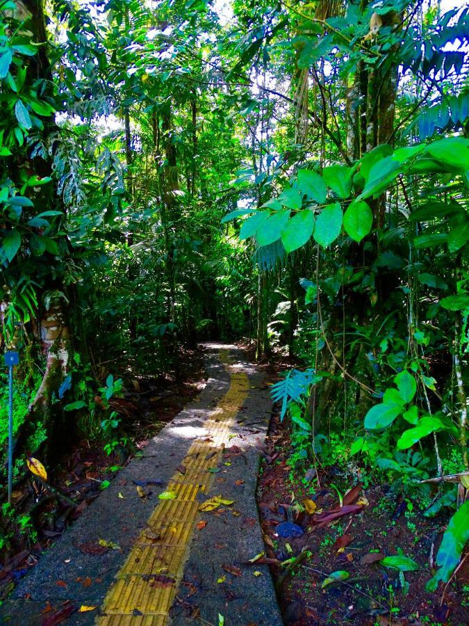 La Selva Biological Station Hotel Sarapiqui Ngoại thất bức ảnh