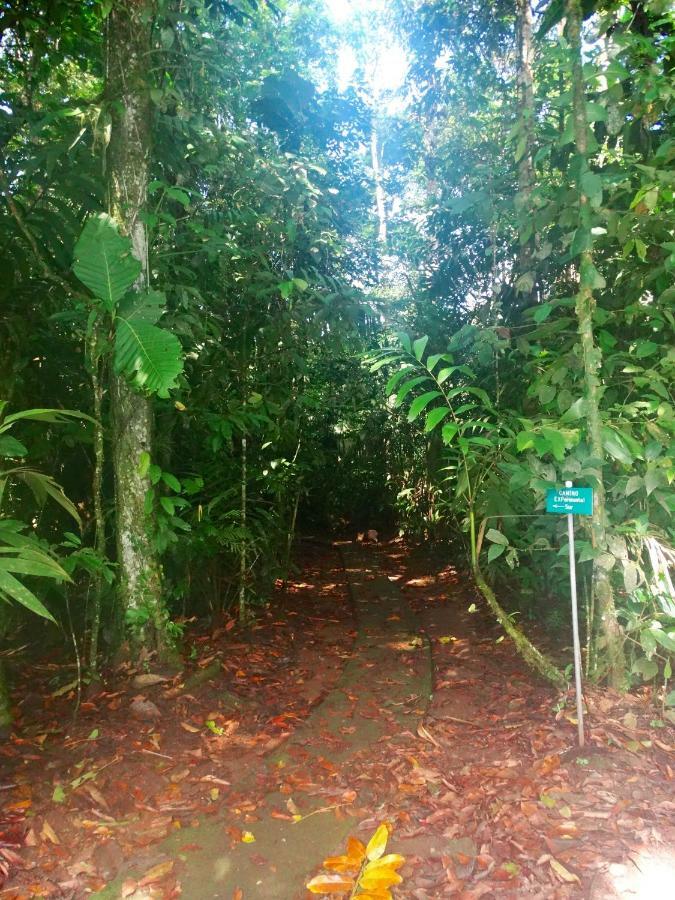 La Selva Biological Station Hotel Sarapiqui Ngoại thất bức ảnh