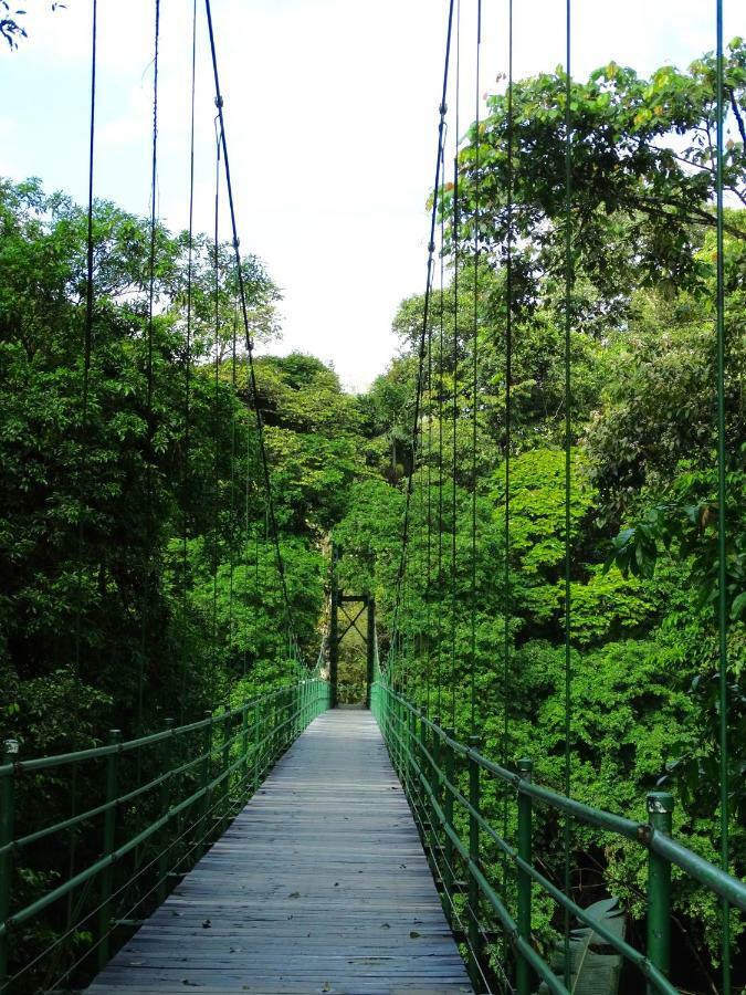 La Selva Biological Station Hotel Sarapiqui Ngoại thất bức ảnh