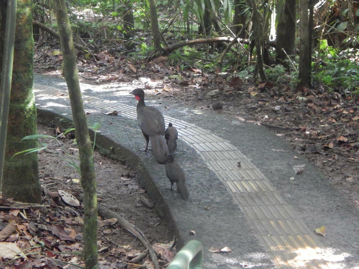 La Selva Biological Station Hotel Sarapiqui Ngoại thất bức ảnh