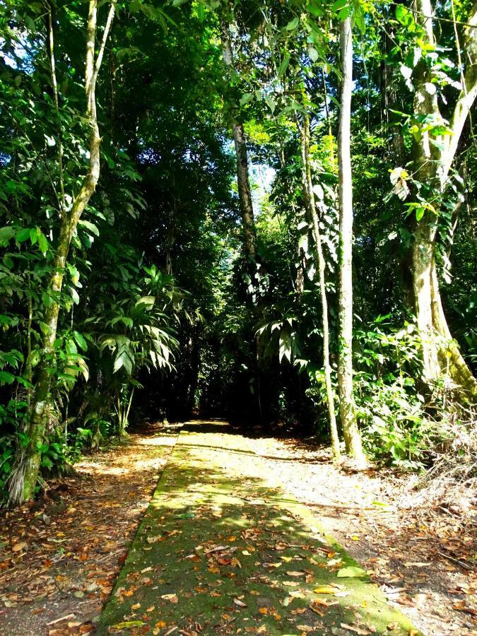 La Selva Biological Station Hotel Sarapiqui Ngoại thất bức ảnh